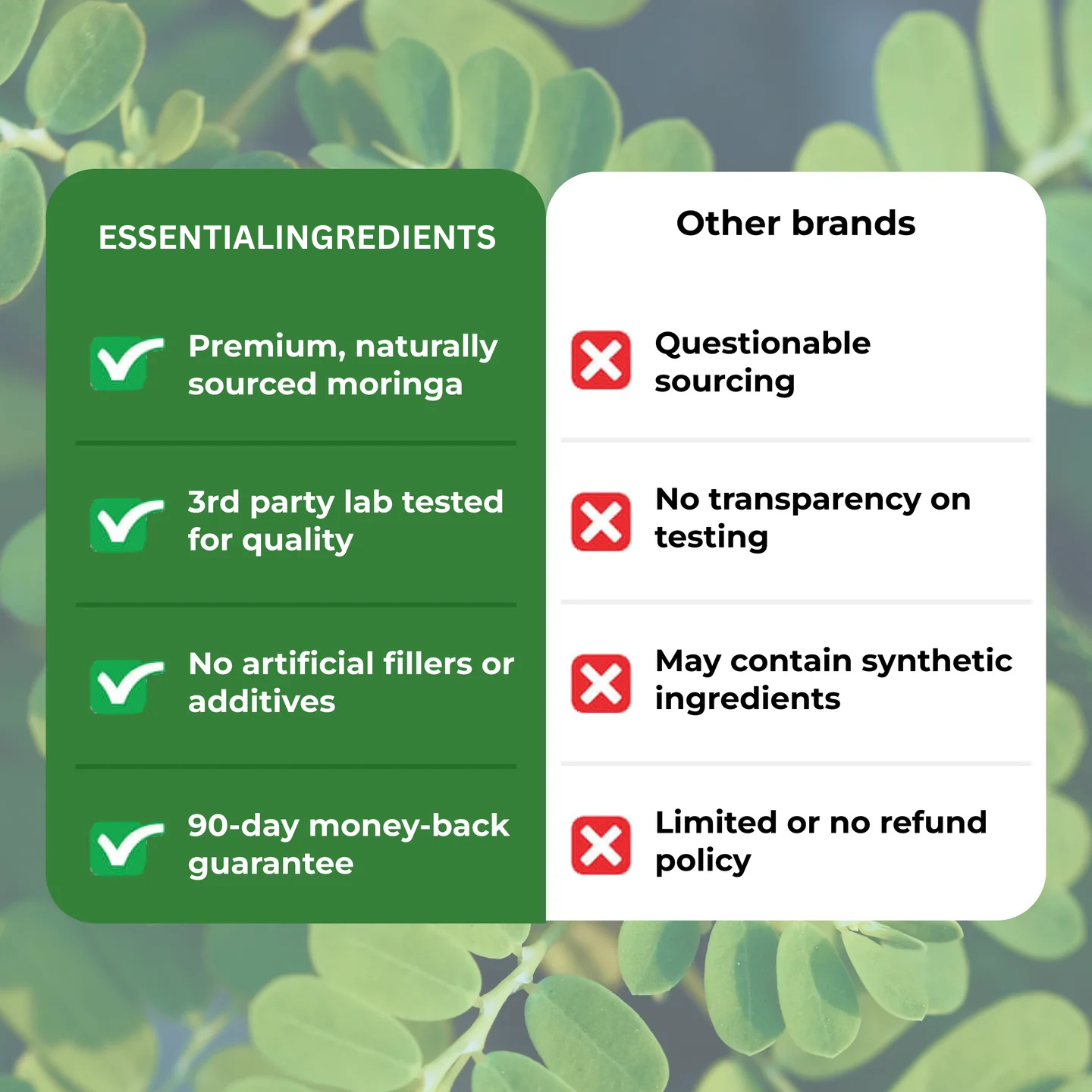 Moringa – Naturally reduces cortisol to support balance inside and out